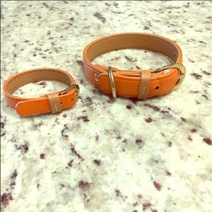 Friendship dog collar and bracelet size Xs